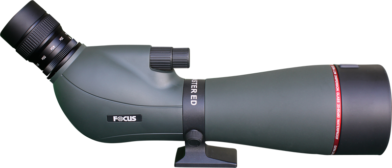 Focus Sport Optics FOCUS VIEWMASTER ED 20-60X80 WP