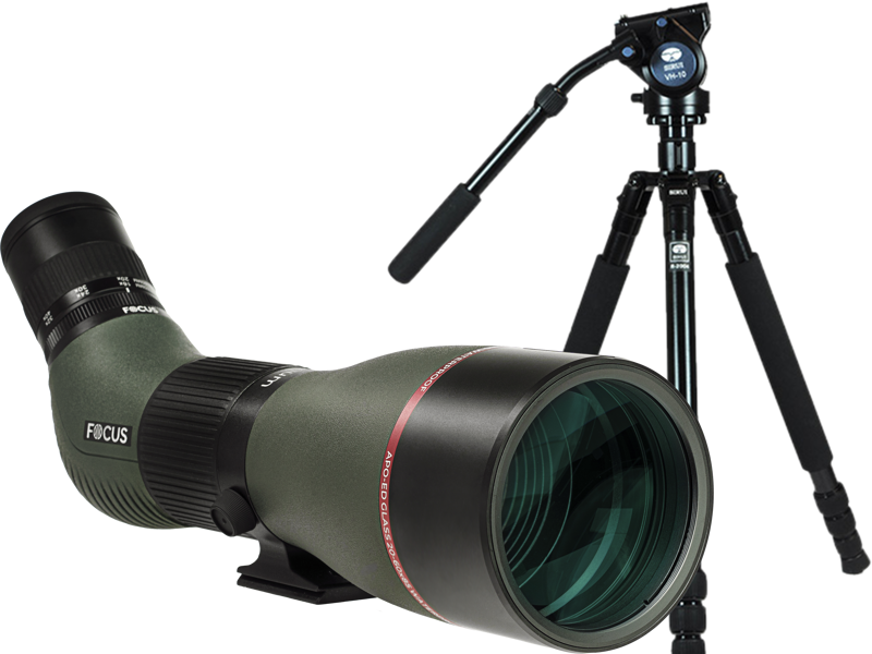 Focus Sport Optics Kit Focus Optimum 20-60x85 ED with Sirui R2004+VH10