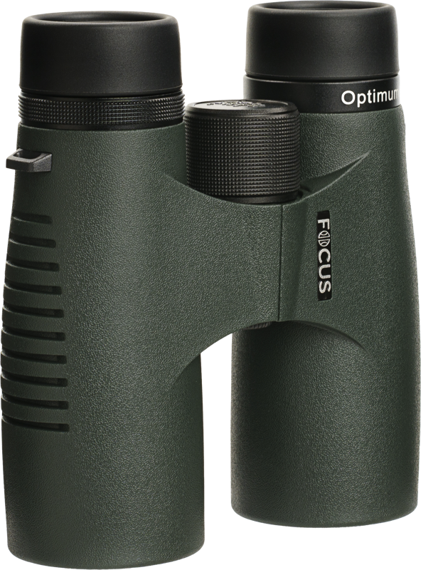 Focus Sport Optics Focus Optimum 8x42 ED (bild 2)