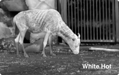 PixFra Ranger 640x512, 35 mm Värmekamera