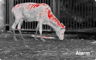 PixFra Ranger 640x512, 35 mm Värmekamera