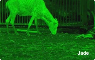 PixFra Ranger 640x512, 35 mm Värmekamera