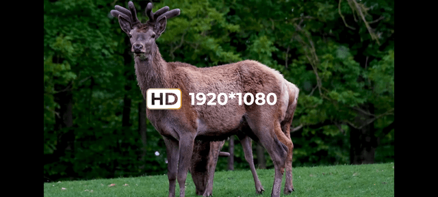 Arken Optics DNT Zulus HD 5-20x (bild 7)