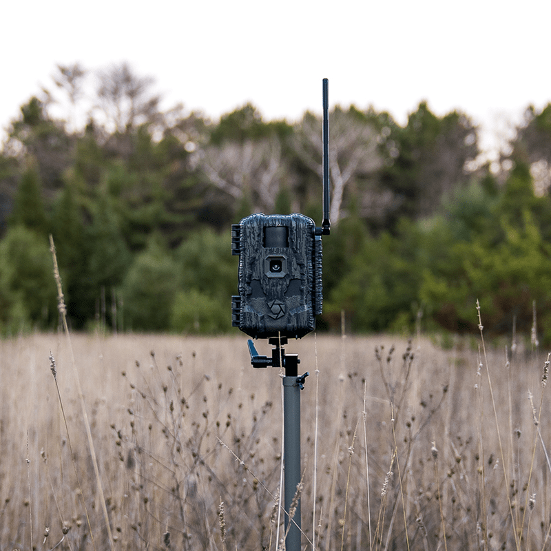 Stealth Cam Fusion Max 2.0 åtelkamera