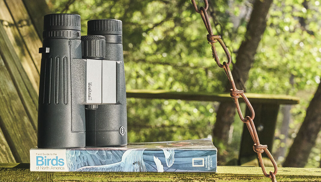 Bushnell Powerview 2.0 10X42 ROOF - Bild 6