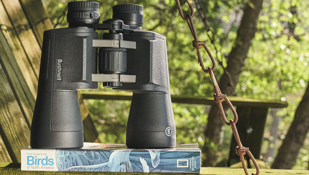 Bushnell Powerview 2.0 20X50 PORRO - Bild 11