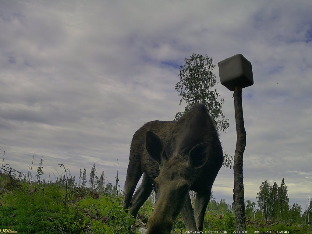 UOVision LiveStream PRO 4G (bild 9)